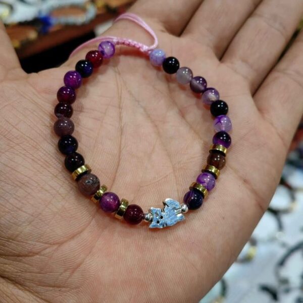 Gatito morado